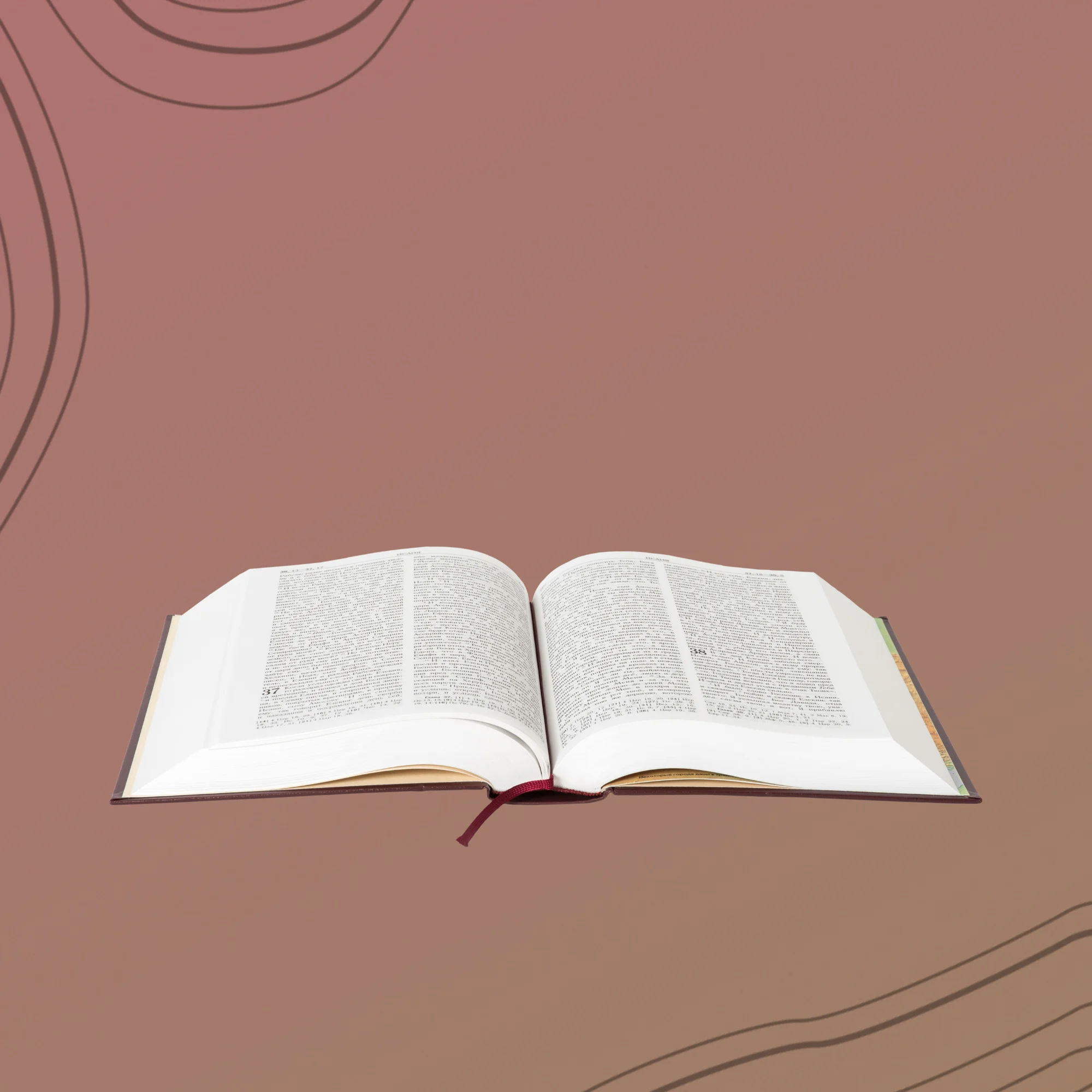Illustration du cours Études bibliques